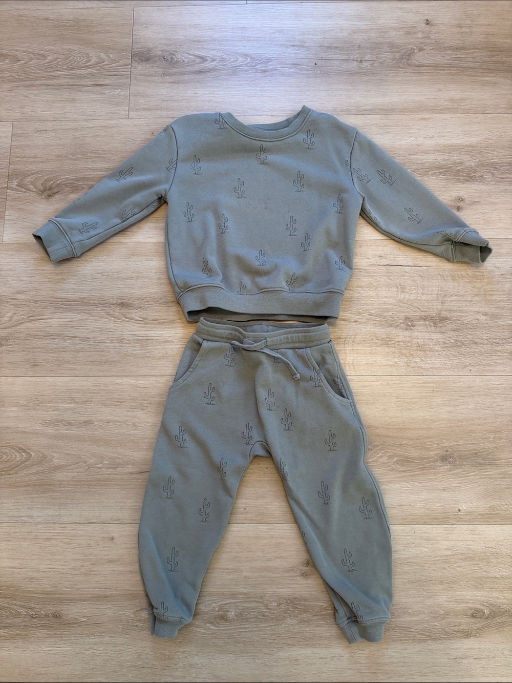 Rylee and Crew Kids Olive Green Cactus Print Sweatshirt & Joggers Set